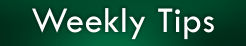 Weekly Tips
